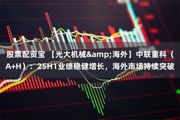 股票配资宝 【光大机械&海外】中联重科（A+H）：25H1业绩稳健增长，海外市场持续突破